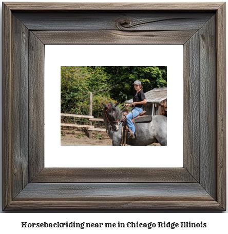 horseback riding near me in Chicago Ridge, Illinois